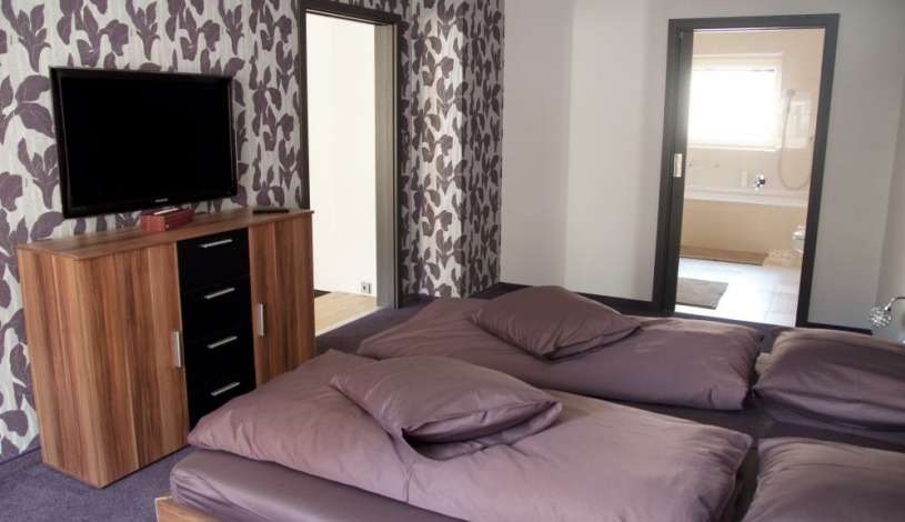 BECHERPLATZ Karlovy Vary - APARTMÁN 1 Superior